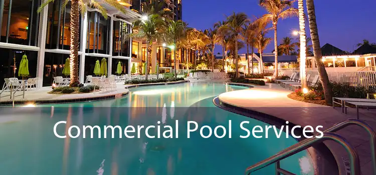Commercial Pool Services 
