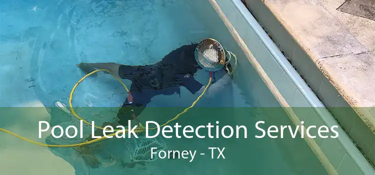 Pool Leak Detection Services Forney - TX