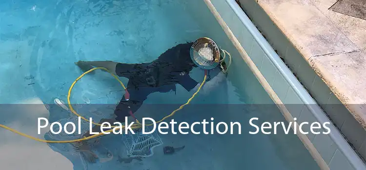 Pool Leak Detection Services 