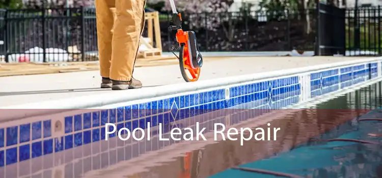 Pool Leak Repair 
