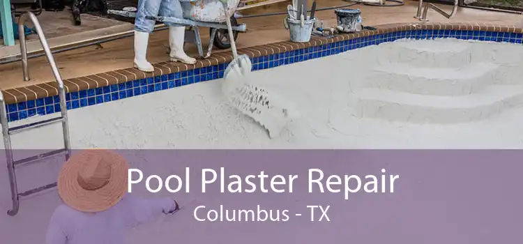 Pool Plaster Repair Columbus - TX