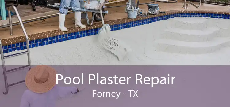 Pool Plaster Repair Forney - TX