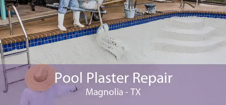 Pool Plaster Repair Magnolia - TX