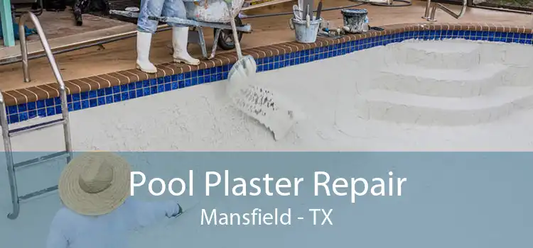 Pool Plaster Repair Mansfield - TX