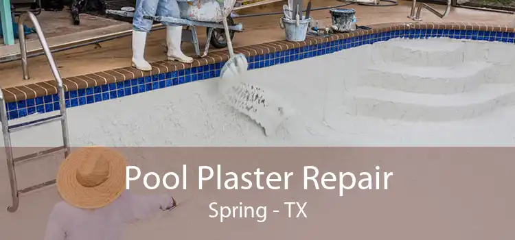 Pool Plaster Repair Spring - TX