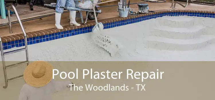 Pool Plaster Repair The Woodlands - TX