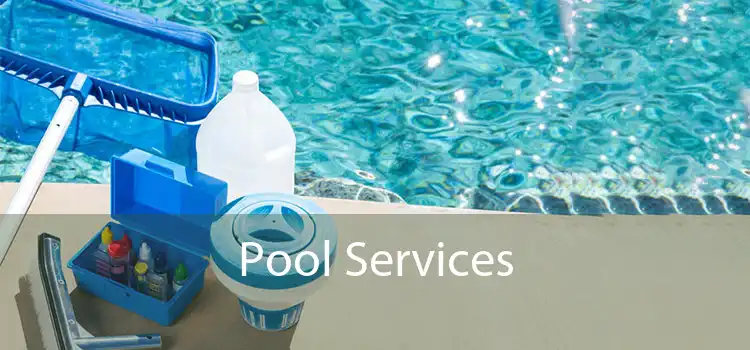 Pool Services 