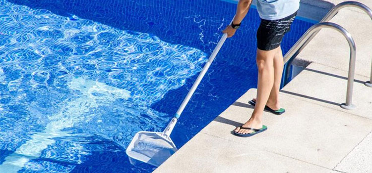 Swimming Pool Cleaning Services in Carrollton, TX
